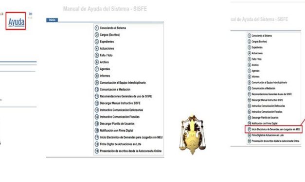 MANUAL DE AYUDA DEL SISTEMA SISFE