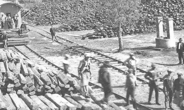 HOMENAJES A CIEN AÑOS DE LA HISTÓRICA REVUELTA OBRERA: LAS LECCIONES DE LA FORESTAL