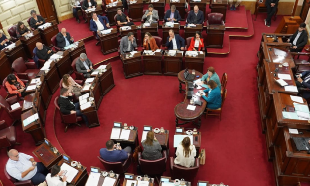 NOTA A LA CÁMARA DE DIPUTADOS Y DIPUTADAS DE SANTA FE: OBSERVACIONES A LOS PROYECTO DE LEY – DIÁLOGO DEMOCRÁTICO