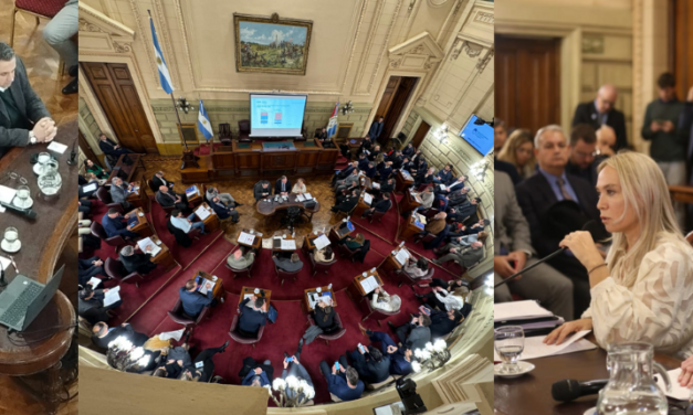 LA FISCAL GENERAL DEL MPA PRESENTÓ EN EL SENADO EL INFORME DE GESTIÓN 2023
