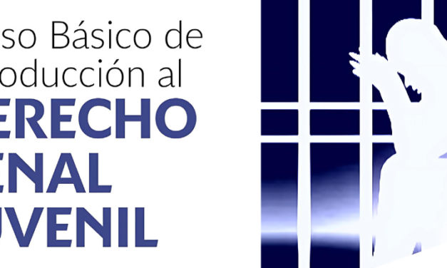CURSO BÁSICO DE INTRODUCCIÓN AL DERECHO PENAL JUVENIL