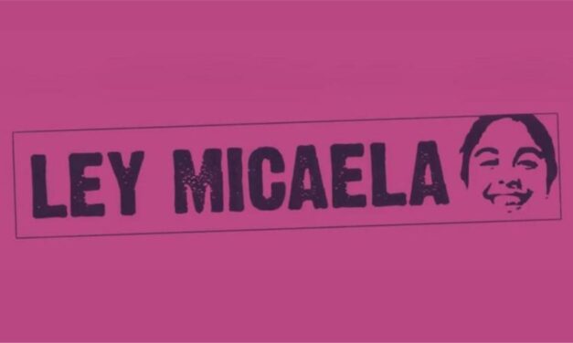 TALLER: «Programa de Capacitación en el marco de la Ley Micaela- 27.499»